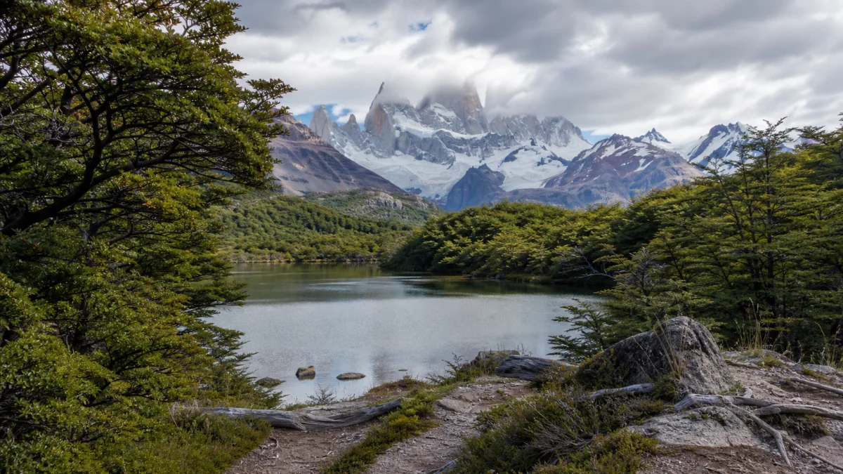 Laguna Capri bordée de forêt avec le massif du Fitz Roy en arrière-plan