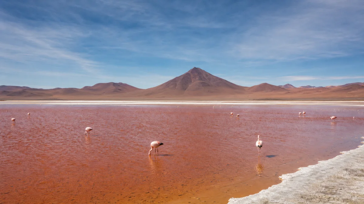 Paysage de voyage lié à circuit sud lipez uyuni