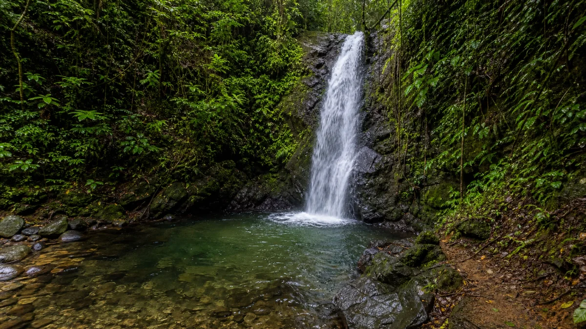 Cascade entourée de forêt tropicale près de Puyo en Équateur